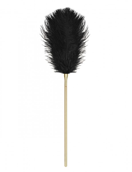 2 in 1 Kettenpeitsche Tickler Federkitzler Obsessive A754