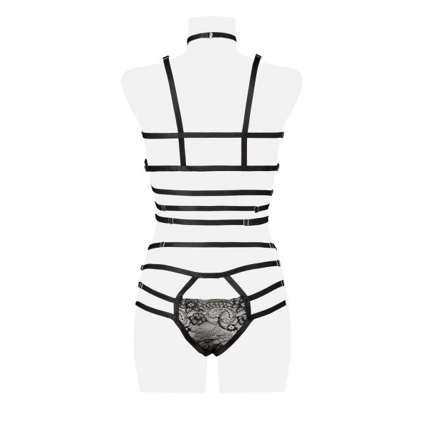 0049 Harness Set Rückseite